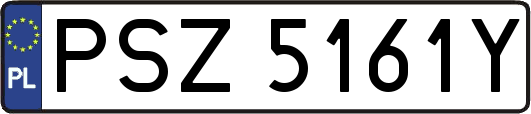 PSZ5161Y