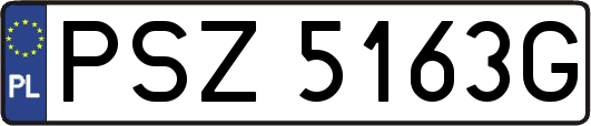 PSZ5163G