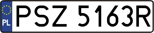 PSZ5163R