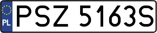 PSZ5163S