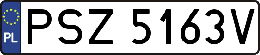 PSZ5163V