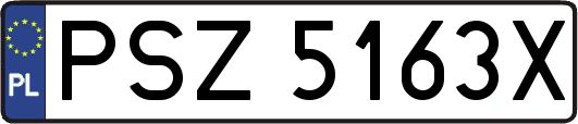 PSZ5163X