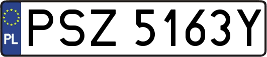 PSZ5163Y