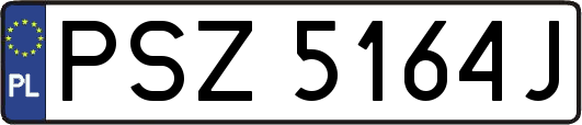 PSZ5164J