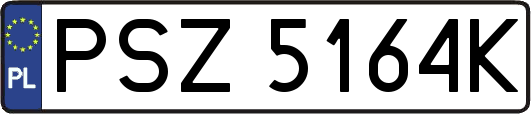 PSZ5164K
