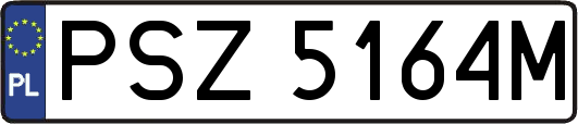 PSZ5164M