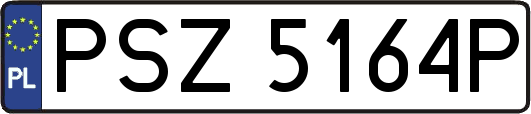 PSZ5164P