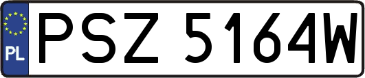 PSZ5164W