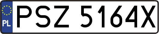PSZ5164X