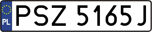 PSZ5165J