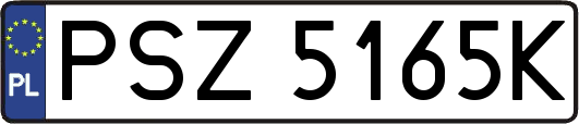 PSZ5165K