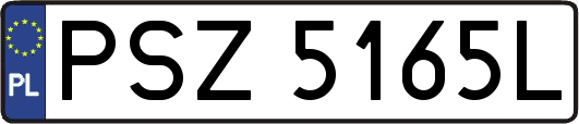 PSZ5165L