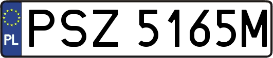 PSZ5165M