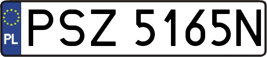 PSZ5165N