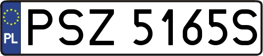PSZ5165S