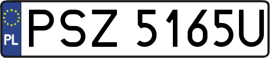 PSZ5165U