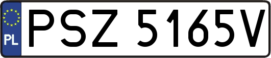 PSZ5165V