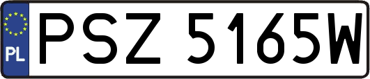 PSZ5165W