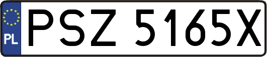 PSZ5165X