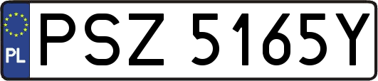 PSZ5165Y