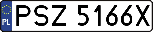 PSZ5166X