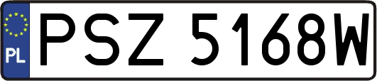 PSZ5168W