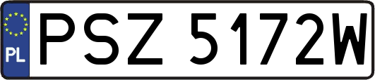 PSZ5172W