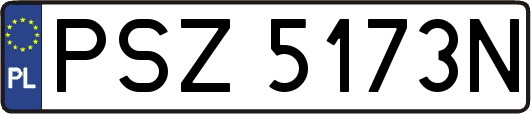 PSZ5173N