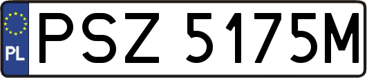 PSZ5175M