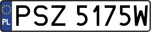 PSZ5175W