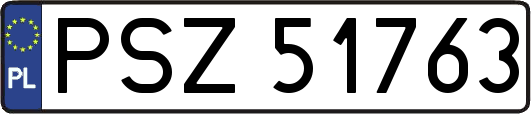 PSZ51763