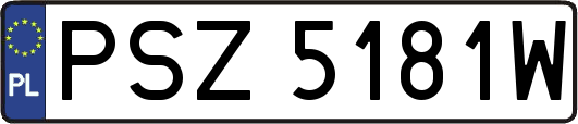 PSZ5181W