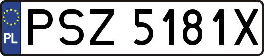 PSZ5181X