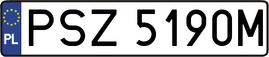 PSZ5190M
