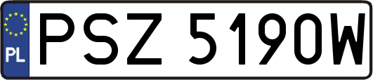 PSZ5190W