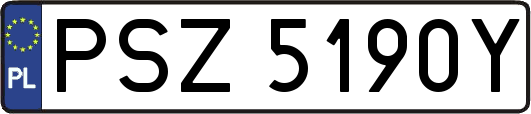 PSZ5190Y