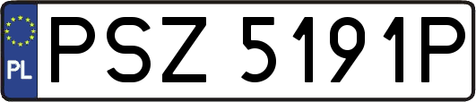 PSZ5191P
