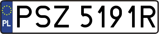 PSZ5191R