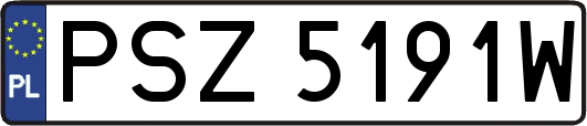 PSZ5191W