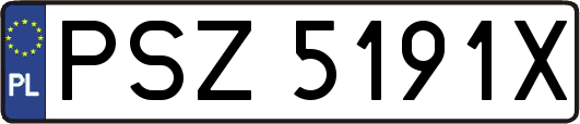 PSZ5191X