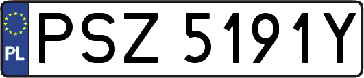 PSZ5191Y