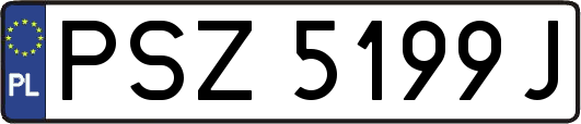 PSZ5199J