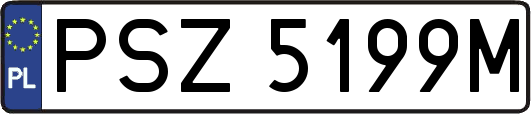 PSZ5199M