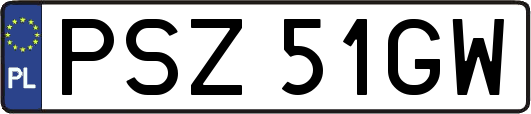 PSZ51GW