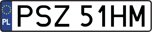 PSZ51HM
