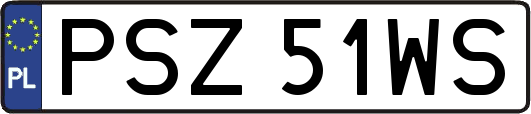 PSZ51WS
