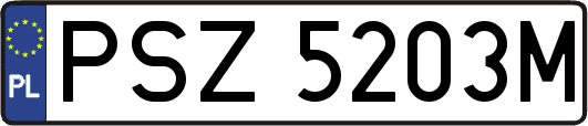 PSZ5203M