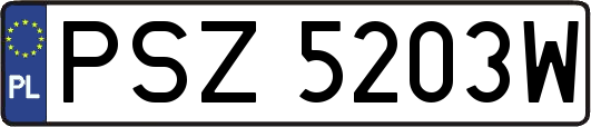 PSZ5203W