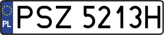 PSZ5213H