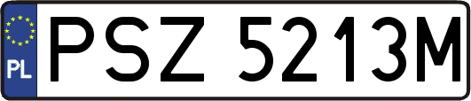 PSZ5213M